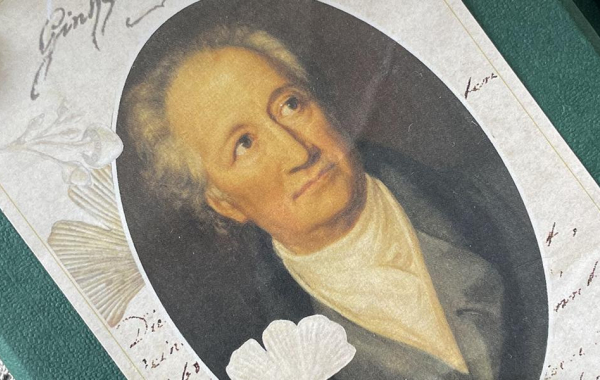 Kampak jdete, pane Goethe? — GOETHOVY LÁSKY